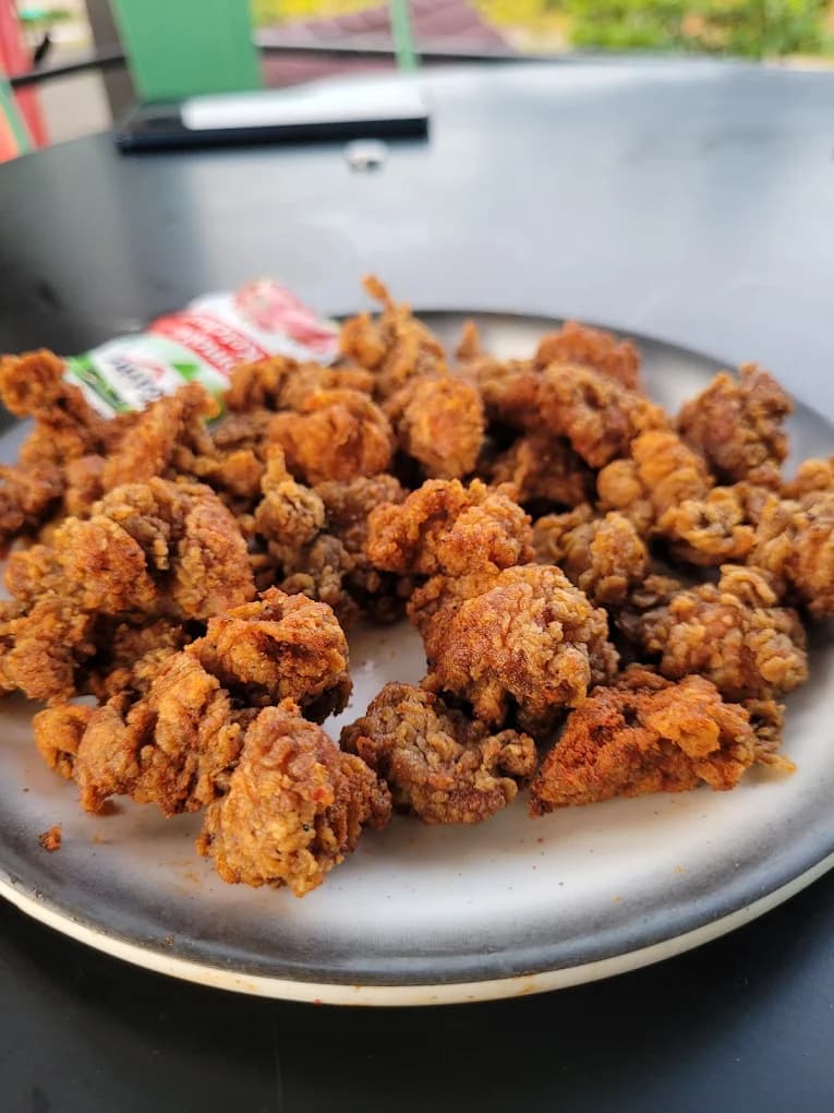 Delicious food options at River Queen, a popular lakeside cafe in Shantimogaru